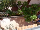 Il Nido Bed and Breakfast